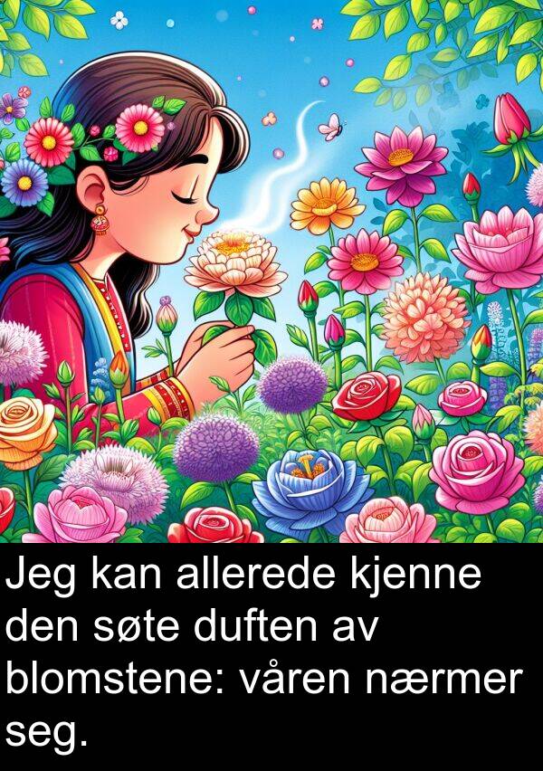 søte: Jeg kan allerede kjenne den søte duften av blomstene: våren nærmer seg.