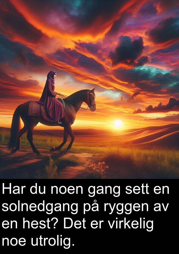 sett: Har du noen gang sett en solnedgang på ryggen av en hest? Det er virkelig noe utrolig.