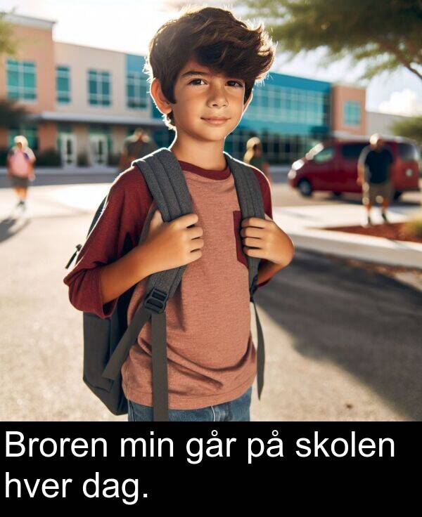 hver: Broren min går på skolen hver dag.