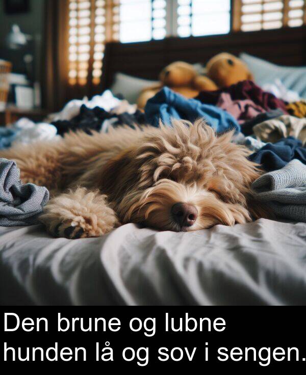 sengen: Den brune og lubne hunden lå og sov i sengen.