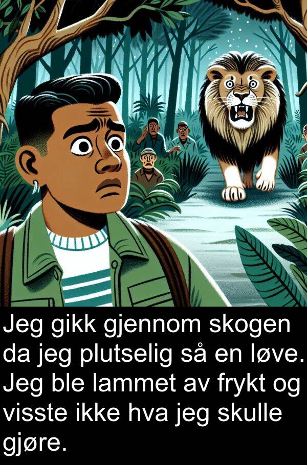 skogen: Jeg gikk gjennom skogen da jeg plutselig så en løve. Jeg ble lammet av frykt og visste ikke hva jeg skulle gjøre.