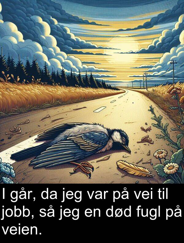død: I går, da jeg var på vei til jobb, så jeg en død fugl på veien.