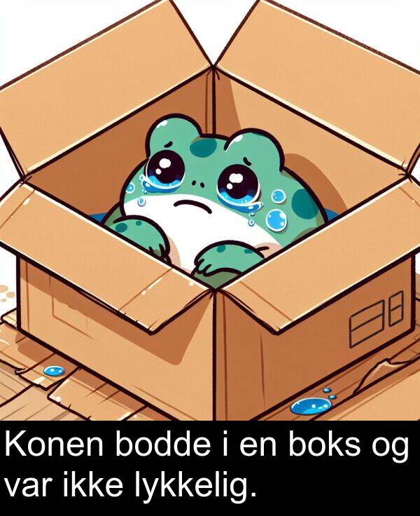 boks: Konen bodde i en boks og var ikke lykkelig.