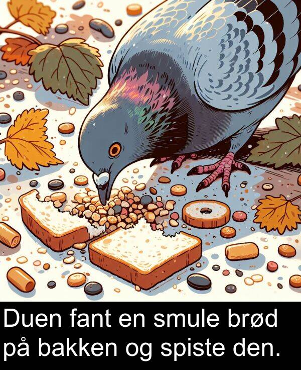 fant: Duen fant en smule brød på bakken og spiste den.
