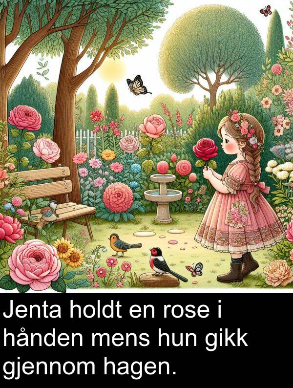 hånden: Jenta holdt en rose i hånden mens hun gikk gjennom hagen.