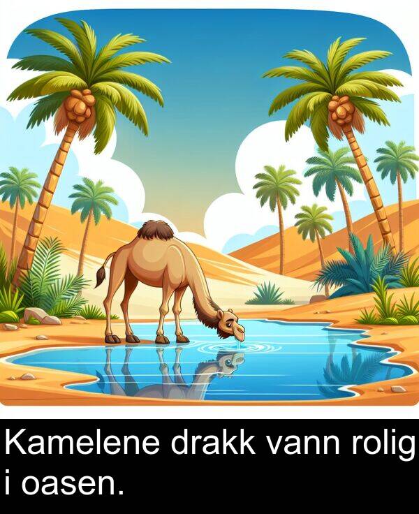 oasen: Kamelene drakk vann rolig i oasen.
