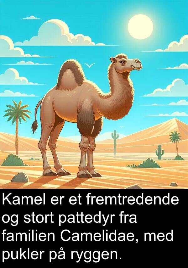 fremtredende: Kamel er et fremtredende og stort pattedyr fra familien Camelidae, med pukler på ryggen.