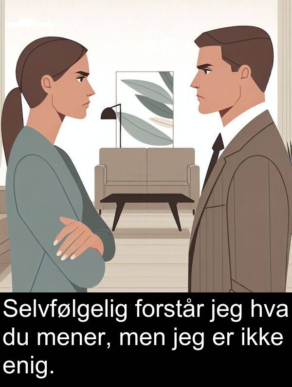 men: Selvfølgelig forstår jeg hva du mener, men jeg er ikke enig.