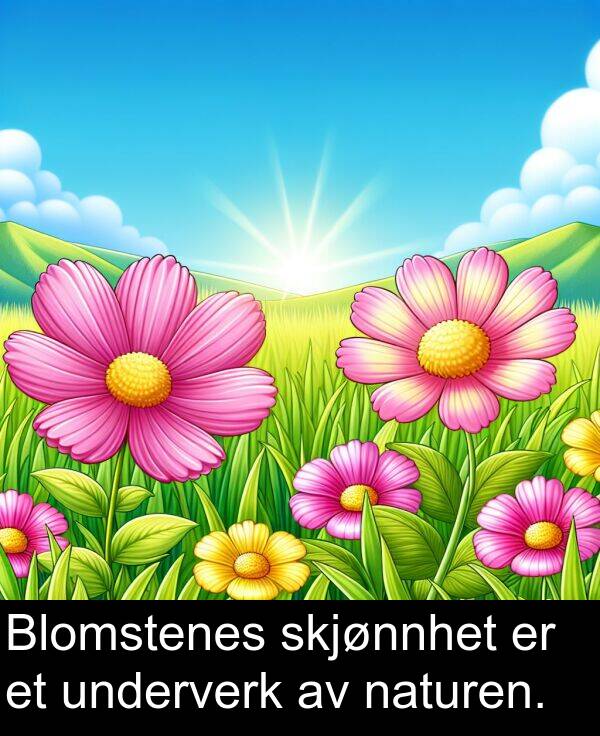 underverk: Blomstenes skjønnhet er et underverk av naturen.