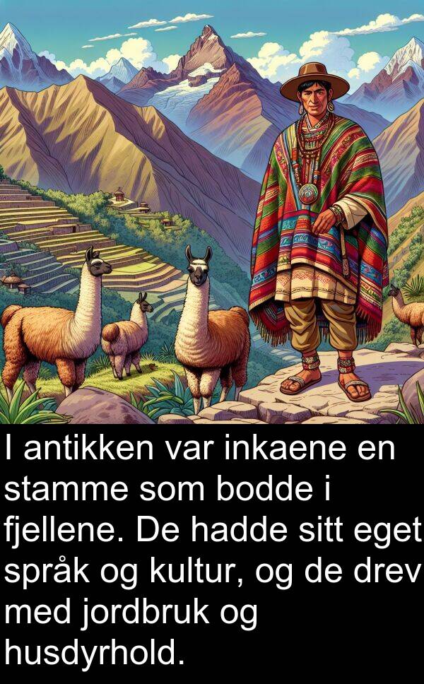 fjellene: I antikken var inkaene en stamme som bodde i fjellene. De hadde sitt eget språk og kultur, og de drev med jordbruk og husdyrhold.