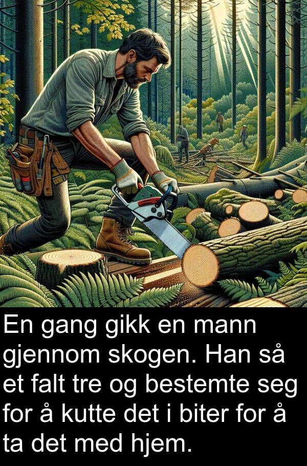 skogen: En gang gikk en mann gjennom skogen. Han så et falt tre og bestemte seg for å kutte det i biter for å ta det med hjem.
