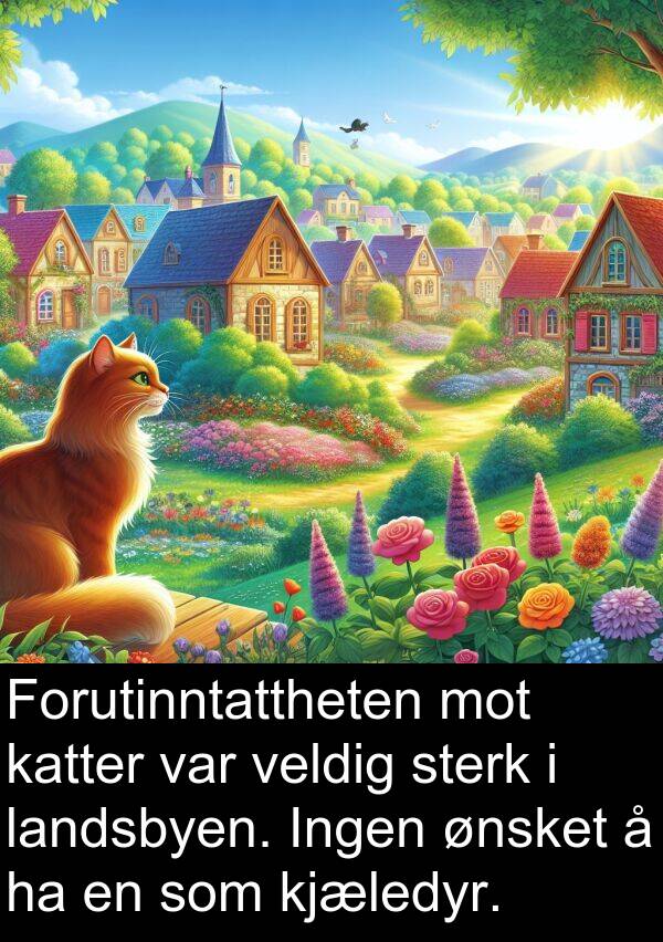 kjæledyr: Forutinntattheten mot katter var veldig sterk i landsbyen. Ingen ønsket å ha en som kjæledyr.