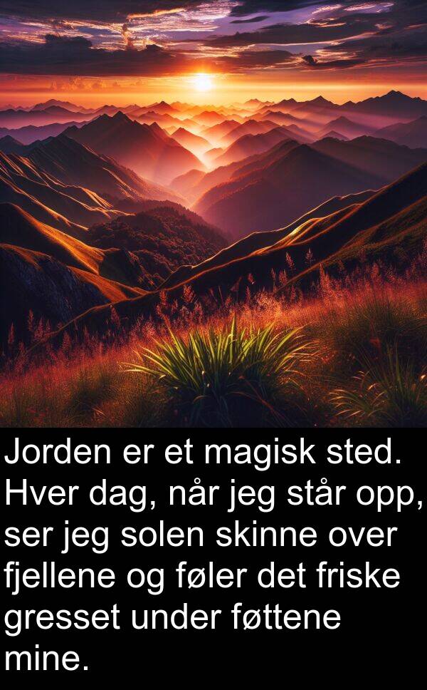 fjellene: Jorden er et magisk sted. Hver dag, når jeg står opp, ser jeg solen skinne over fjellene og føler det friske gresset under føttene mine.