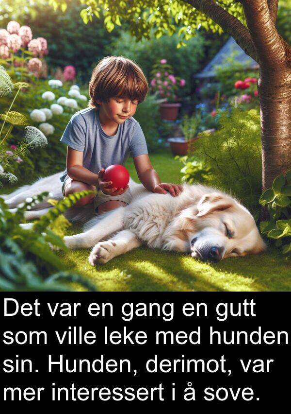 leke: Det var en gang en gutt som ville leke med hunden sin. Hunden, derimot, var mer interessert i å sove.