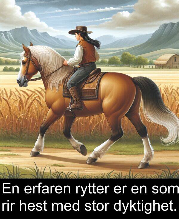 rir: En erfaren rytter er en som rir hest med stor dyktighet.