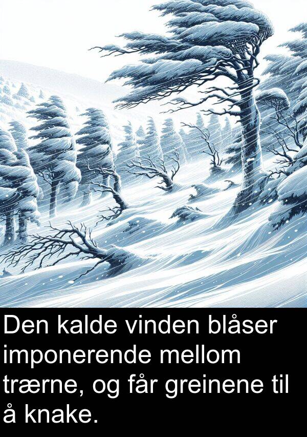 kalde: Den kalde vinden blåser imponerende mellom trærne, og får greinene til å knake.