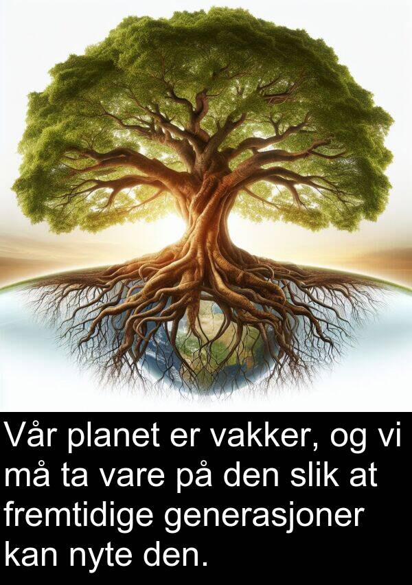 fremtidige: Vår planet er vakker, og vi må ta vare på den slik at fremtidige generasjoner kan nyte den.