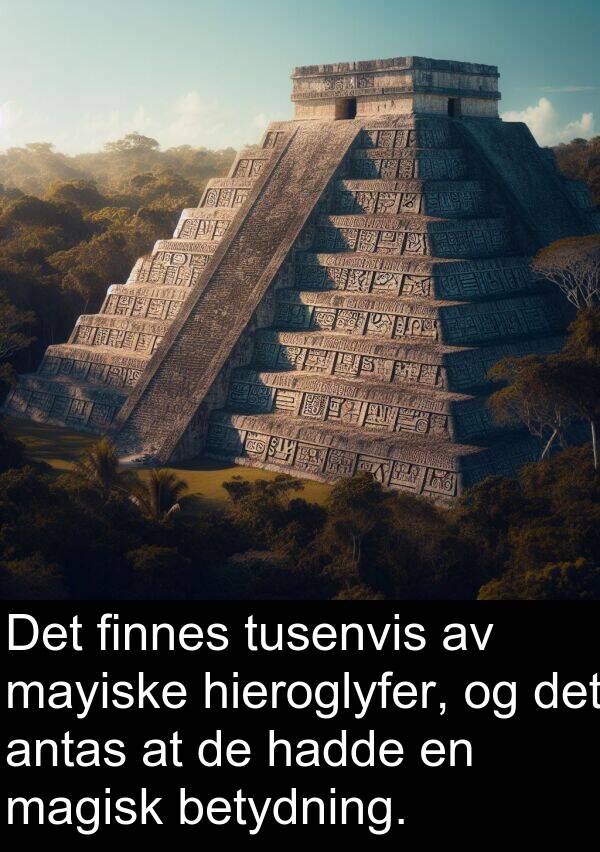 mayiske: Det finnes tusenvis av mayiske hieroglyfer, og det antas at de hadde en magisk betydning.