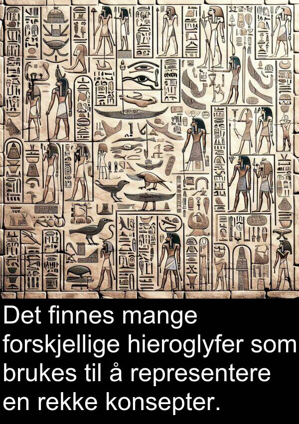 representere: Det finnes mange forskjellige hieroglyfer som brukes til å representere en rekke konsepter.