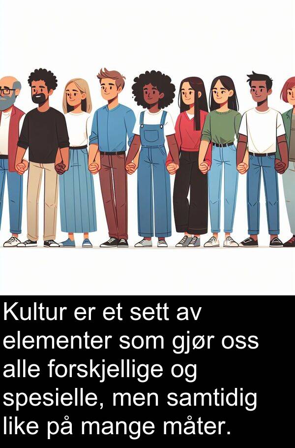 sett: Kultur er et sett av elementer som gjør oss alle forskjellige og spesielle, men samtidig like på mange måter.