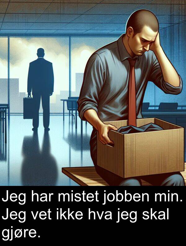 gjøre: Jeg har mistet jobben min. Jeg vet ikke hva jeg skal gjøre.