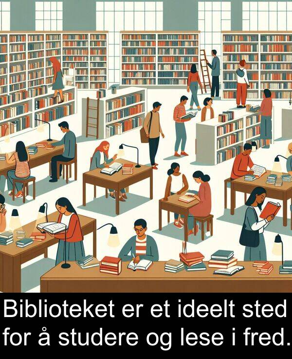 sted: Biblioteket er et ideelt sted for å studere og lese i fred.