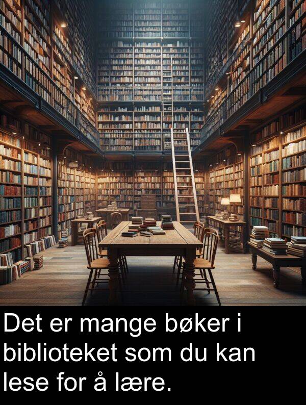 mange: Det er mange bøker i biblioteket som du kan lese for å lære.