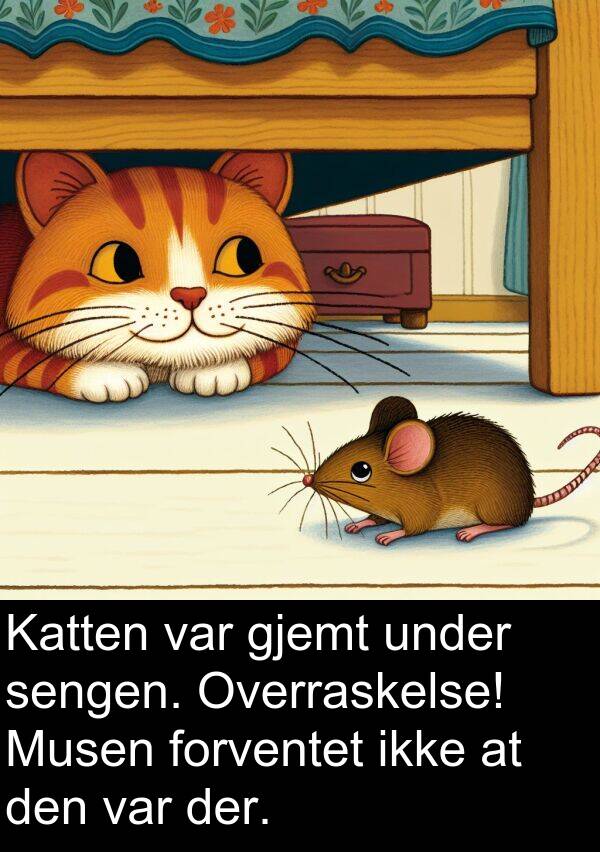 sengen: Katten var gjemt under sengen. Overraskelse! Musen forventet ikke at den var der.