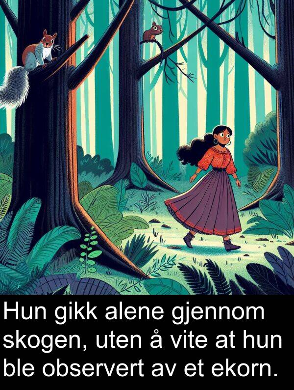 observert: Hun gikk alene gjennom skogen, uten å vite at hun ble observert av et ekorn.