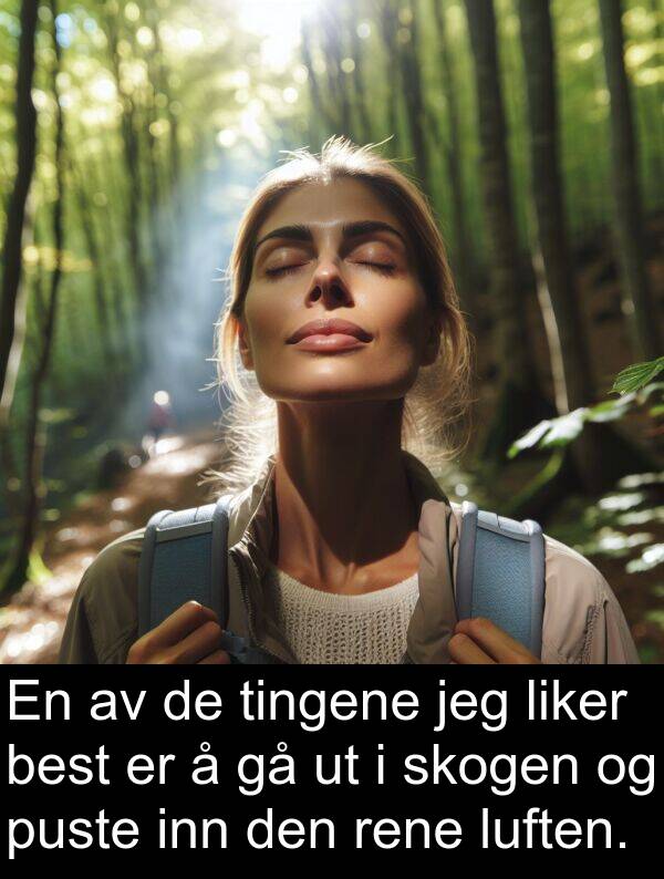 skogen: En av de tingene jeg liker best er å gå ut i skogen og puste inn den rene luften.