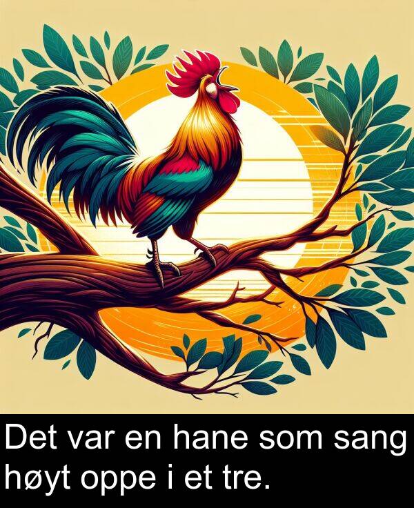 oppe: Det var en hane som sang høyt oppe i et tre.