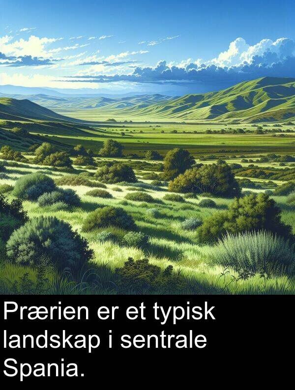 sentrale: Prærien er et typisk landskap i sentrale Spania.