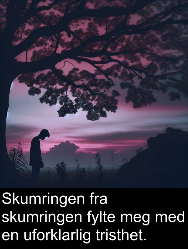 uforklarlig: Skumringen fra skumringen fylte meg med en uforklarlig tristhet.