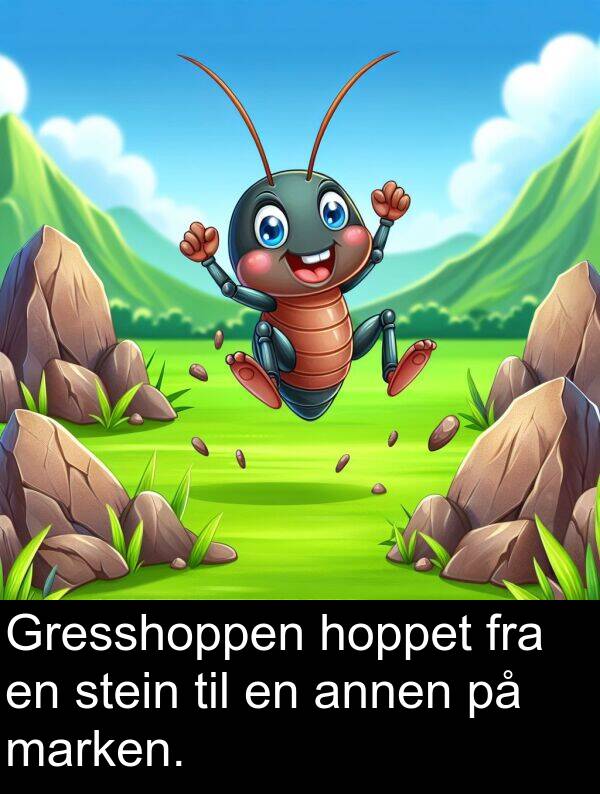 annen: Gresshoppen hoppet fra en stein til en annen på marken.