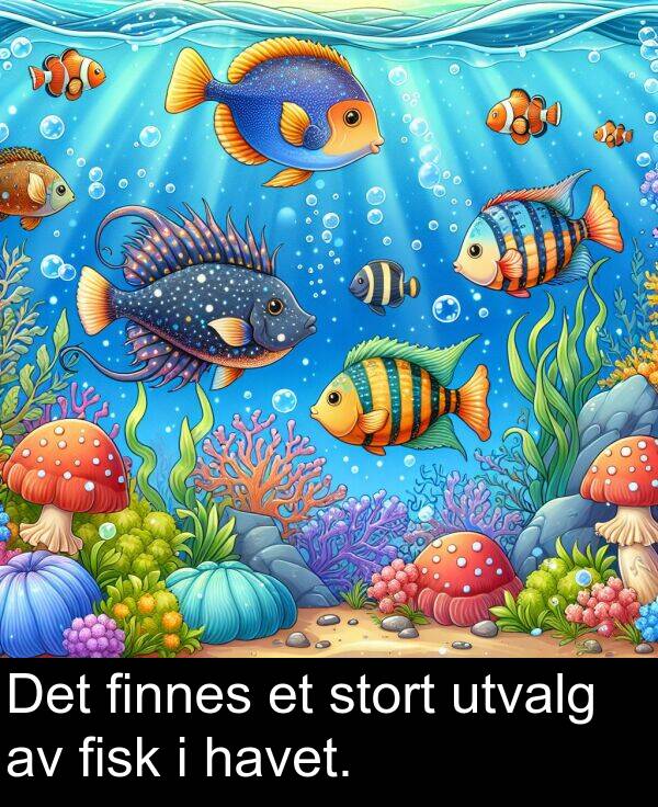 fisk: Det finnes et stort utvalg av fisk i havet.