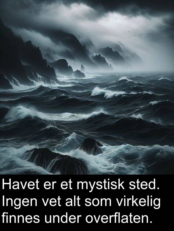 overflaten: Havet er et mystisk sted. Ingen vet alt som virkelig finnes under overflaten.