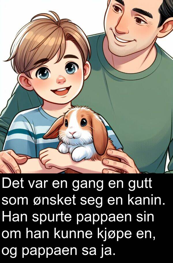 kjøpe: Det var en gang en gutt som ønsket seg en kanin. Han spurte pappaen sin om han kunne kjøpe en, og pappaen sa ja.