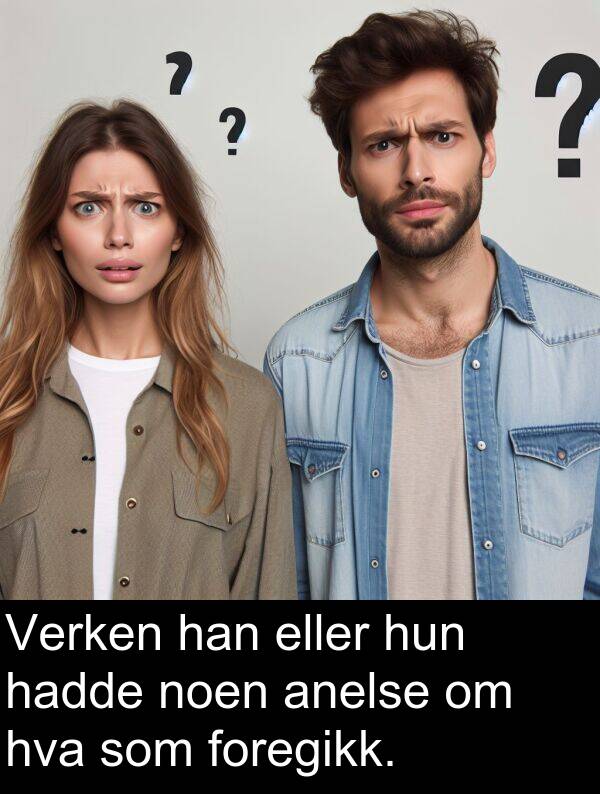 noen: Verken han eller hun hadde noen anelse om hva som foregikk.