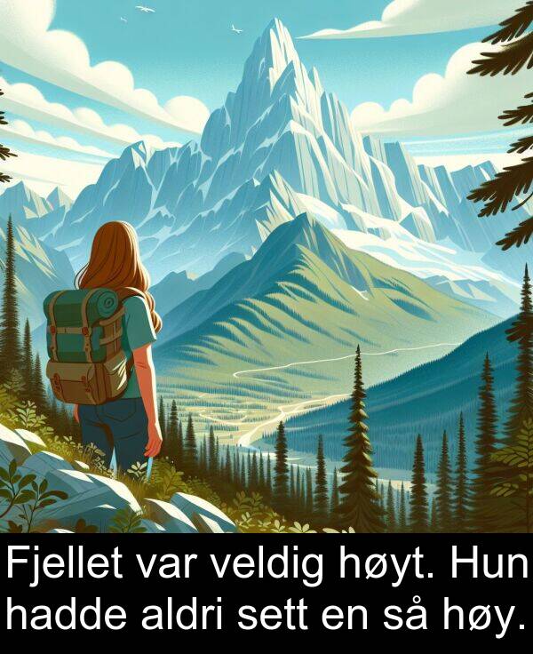 sett: Fjellet var veldig høyt. Hun hadde aldri sett en så høy.