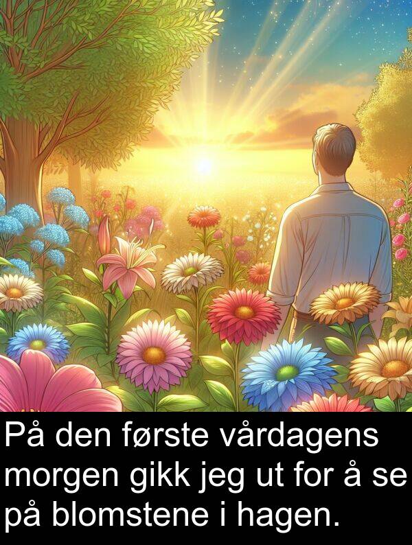første: På den første vårdagens morgen gikk jeg ut for å se på blomstene i hagen.