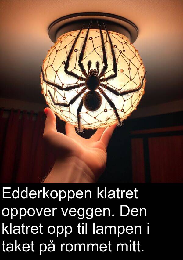 oppover: Edderkoppen klatret oppover veggen. Den klatret opp til lampen i taket på rommet mitt.