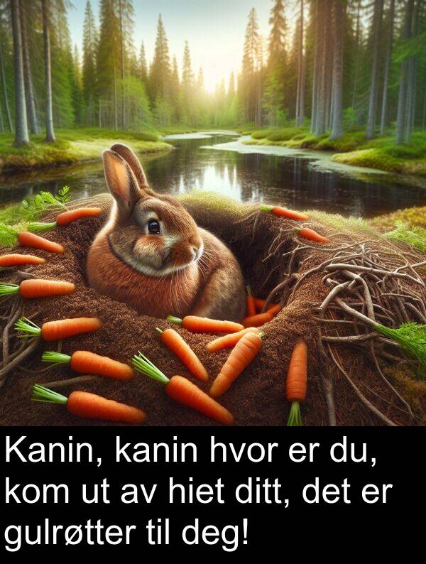 du: Kanin, kanin hvor er du, kom ut av hiet ditt, det er gulrøtter til deg!