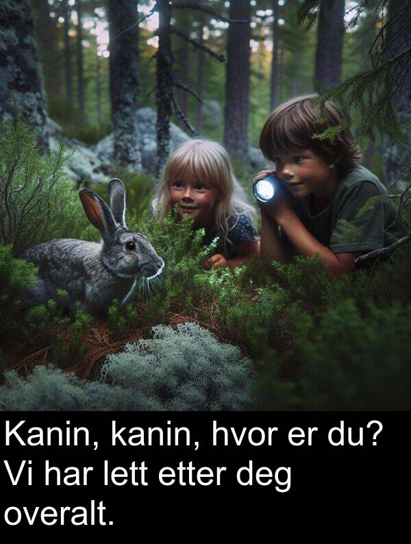 overalt: Kanin, kanin, hvor er du? Vi har lett etter deg overalt.