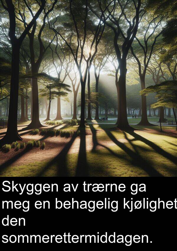 kjølighet: Skyggen av trærne ga meg en behagelig kjølighet den sommerettermiddagen.