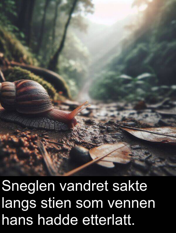 etterlatt: Sneglen vandret sakte langs stien som vennen hans hadde etterlatt.