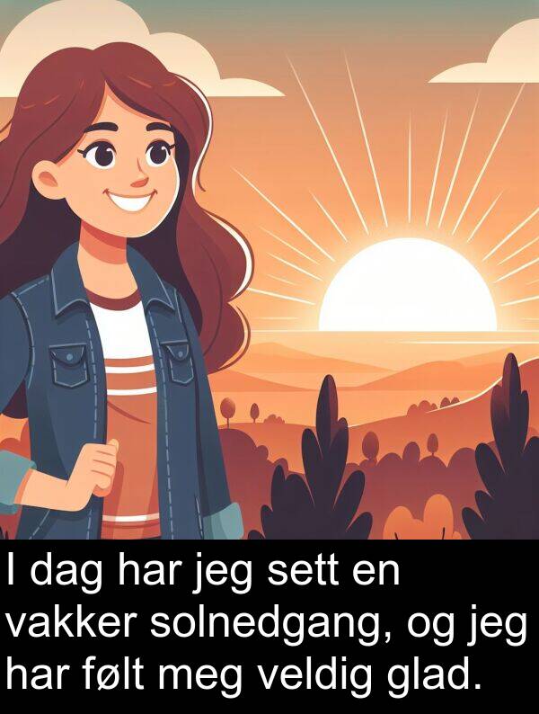 glad: I dag har jeg sett en vakker solnedgang, og jeg har følt meg veldig glad.