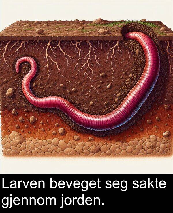 beveget: Larven beveget seg sakte gjennom jorden.
