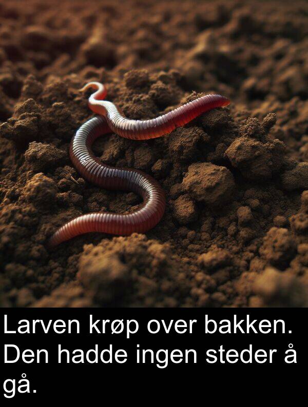 over: Larven krøp over bakken. Den hadde ingen steder å gå.
