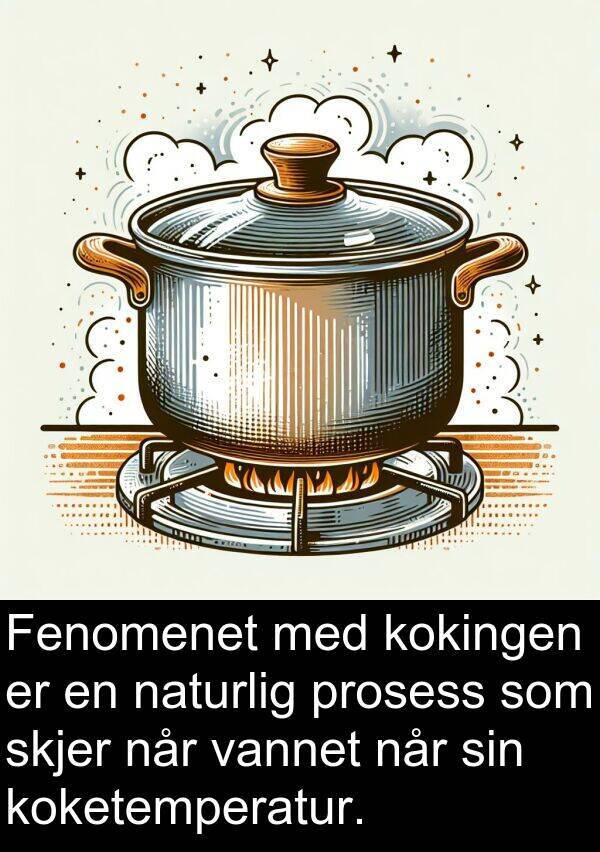 prosess: Fenomenet med kokingen er en naturlig prosess som skjer når vannet når sin koketemperatur.