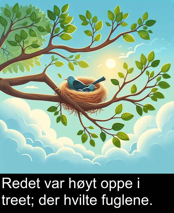 oppe: Redet var høyt oppe i treet; der hvilte fuglene.